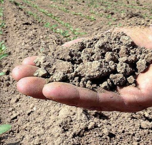 Un anno di siccità: pianura lombarda a secco, laghi al 27%, più colpite Milano e provincia di Pavia