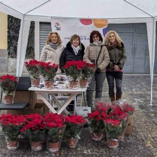 Magenta: &quot;A un passo da te&quot;, la neonata associazione in piazza con le stelle di Natale per sostenere le persone diveramente abili