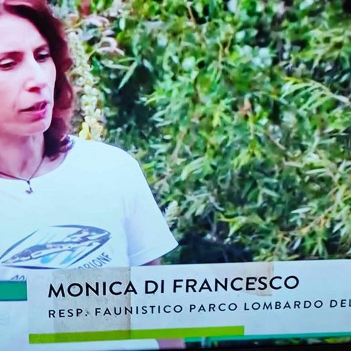 Su Rai 1 e Linea Verde il progetto di reintroduzione dello storione nel Parco del Ticino