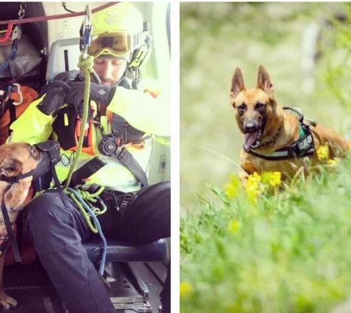 Così il Soccorso alpino del Piemonte ricorda Sushi