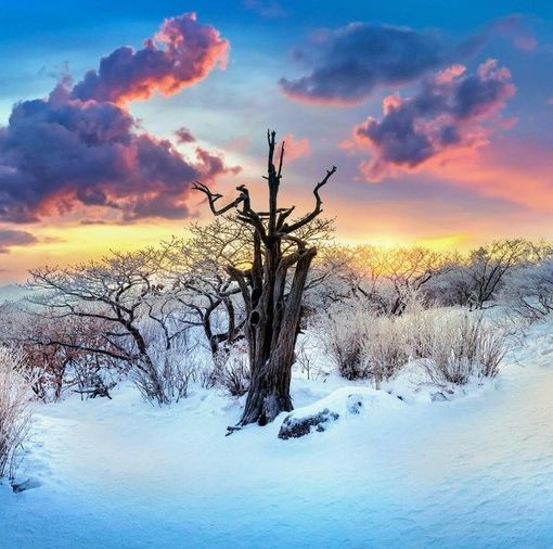 Oggi è il 21 dicembre, solstizio d’inverno: è il giorno più corto dell’anno