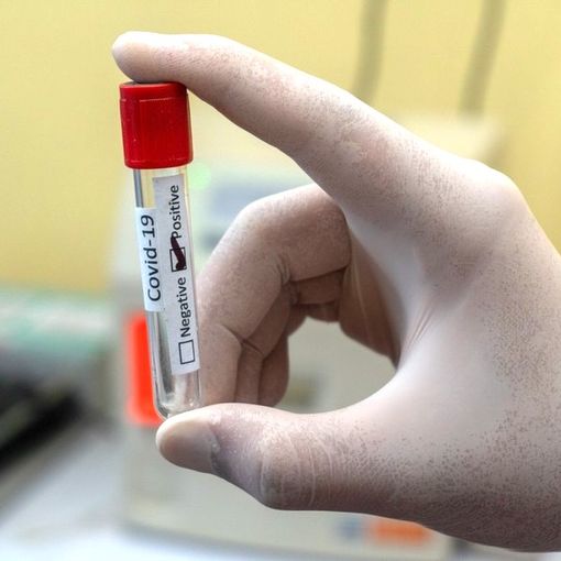 Covid, voli Cina: &quot;Dai primi risultati solo varianti Omicron già presenti in Italia&quot;