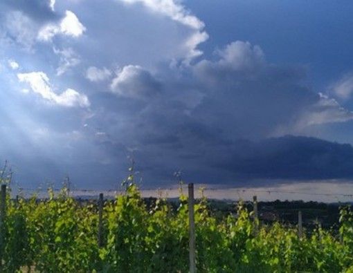 CHE TEMPO FARÀ. Il sole di questa mattina non durerà a lungo. Domenica di nuvole con il rischio di rovesci