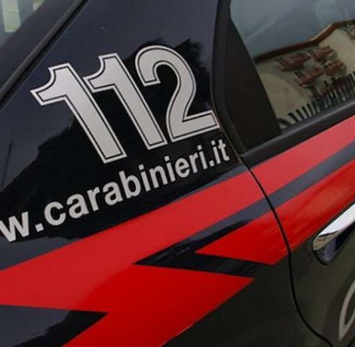 Controlli sui fitofarmaci: cinque aziende agricole novaresi multate per pesticidi non regolari