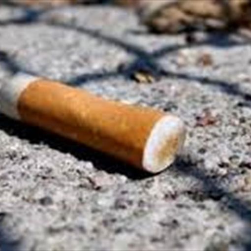 Vigevano: la classe 4A dell'istituto Caramuel-Roncalli a &quot;caccia&quot; di mozziconi per le strade della città