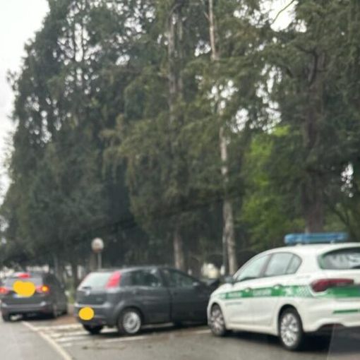 Magenta, automobilista sbanda alla curva di via Brocca e finisce contro un albero