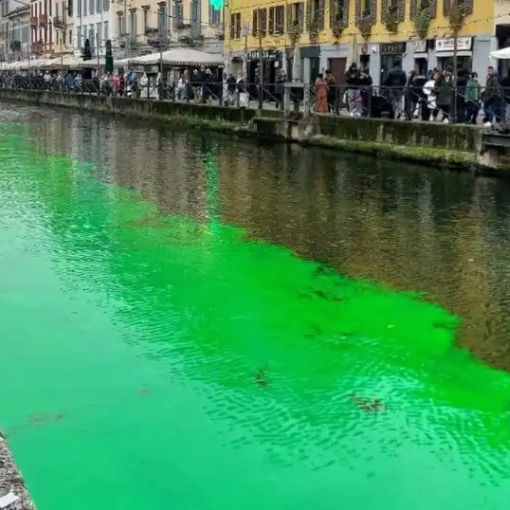 Gli ambientalisti tingono di verde il Naviglio a Milano