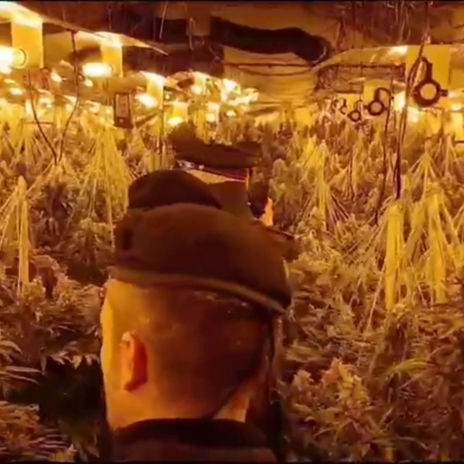 Cozzo: allaccio abusivo alla rete elettrica per coltivare cannabis in un cascinale, arrestate due persone. Le immagini