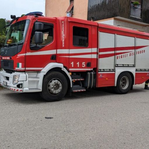 Magenta, sciame d’api in via Sanchioli recuperato dai Vigili del Fuoco
