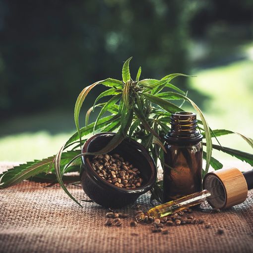 CBD: tutto ciò che devi sapere