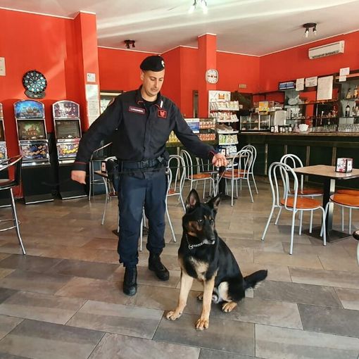 Pavese: controlli effettuati con i cani antidroga, segnalate otto persone