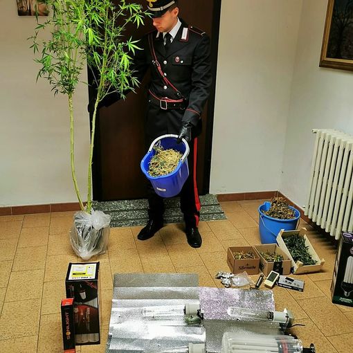 Pavese: trovato in possesso di 200 grammi di marijuana, denunciato un 45enne