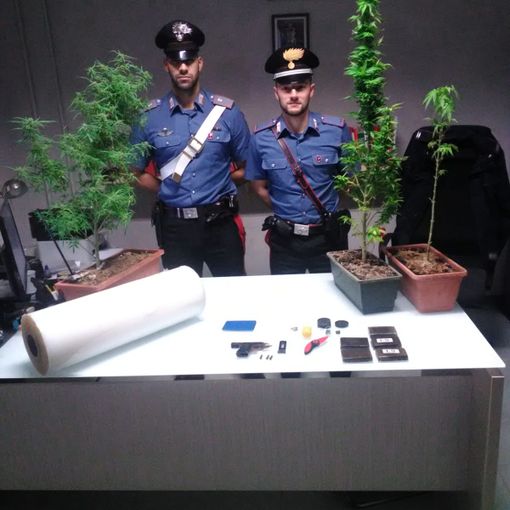Sannazzaro de' Burgondi: arrestata coppia di spacciatori con oltre mezzo chilo di hashish, piante di marjuana e una pistola