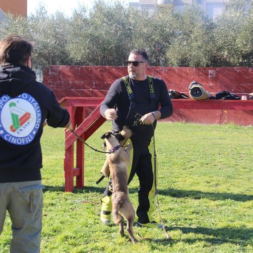 Cinofilia: ENDAS si prepara alla riapertura delle attività e propone un modello tecnico-sanitario per la sicurezza nei centri cinofili.