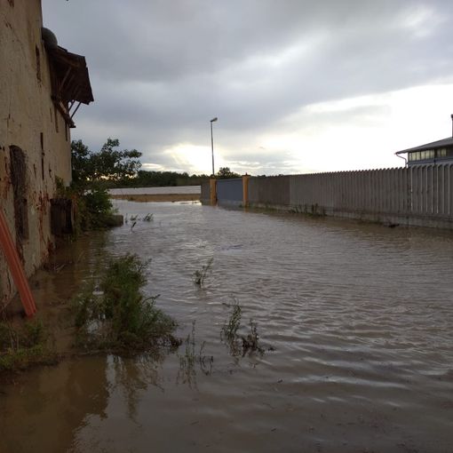 Maltempo, alluvione Sesia: cascine e risaie sommerse in Lomellina