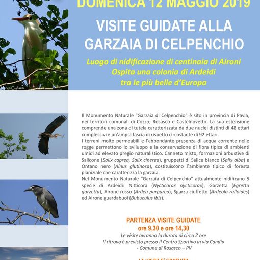 - FOTOEVENTO - a Rosasco domenica 12 maggio, visite guidate alla Garzaia di Celpenchio