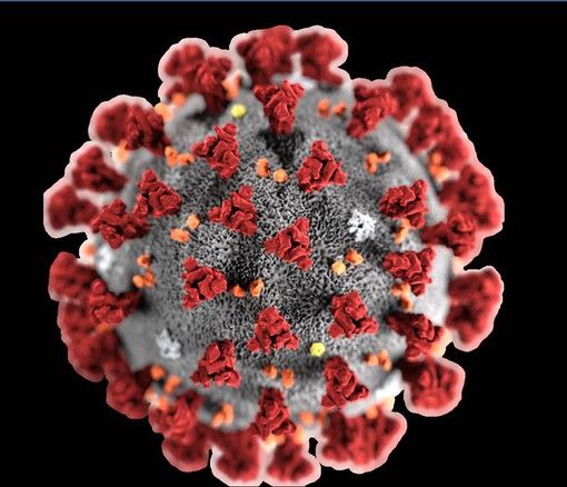 Progetto ALFABETO “ALL FAster, BEtter, TOgether - SARS-CoV2” , Intelligenza artificiale a supporto della clinica