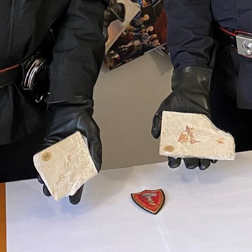 Pavese: recuperati dei fossili di dinosauro in un auto, denunciato un 47enne per ricettazione