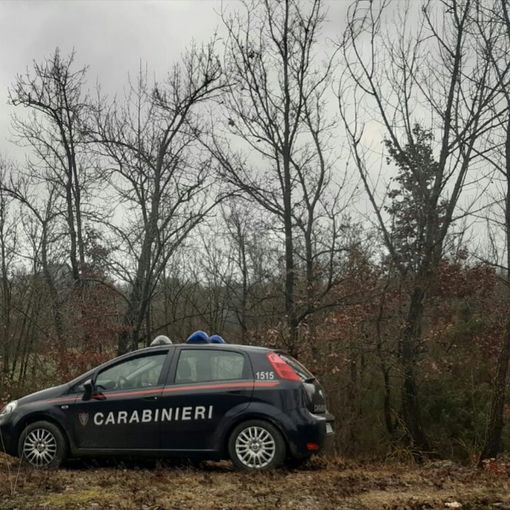 Oltrepò: esegue lavori in un bosco senza rispettare le tecniche forestali, scatta una maxi multa da 120mila euro