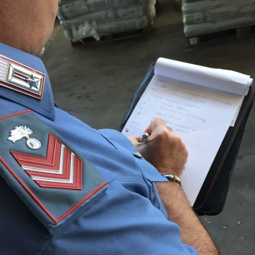 Voghera: sequestrato un allevamento con dromedari e tucani, scattano due denunce