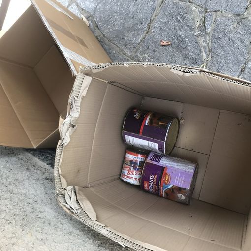 Sant'Angelo Lomellina: Arriva la foto trappola e &quot;pizzica&quot; subito un trasgressore