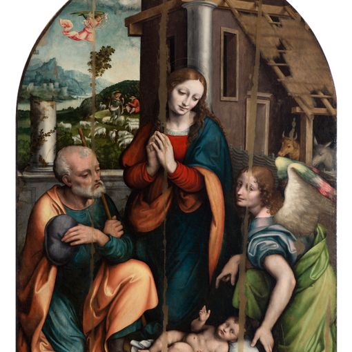 Vigevano, nel segno di Leonardo. Modelli e sviluppi fra Lombardia e Piemonte