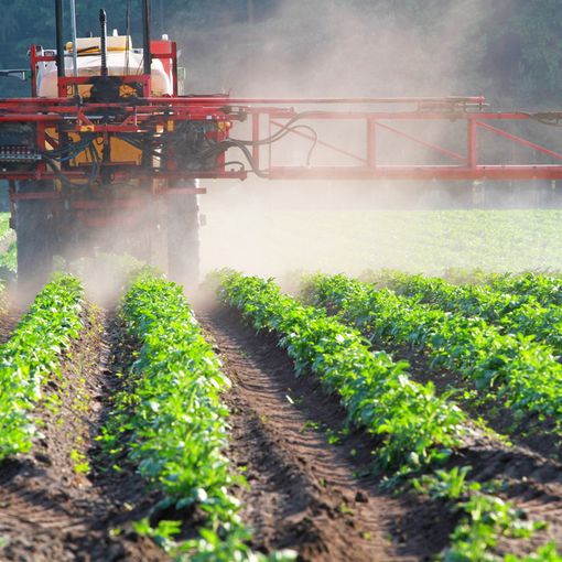 Glifosato: Coldiretti, in Italia resta divieto, stop import