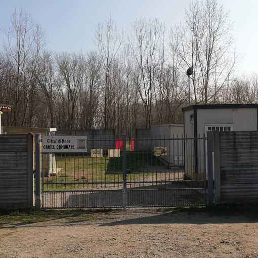 Mede: il canile la &quot;Cuccia&quot; fiore all'occhiello nel panorama lomellino