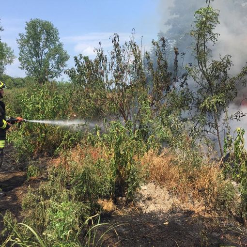Siccità estiva, Vigili del fuoco impegnati a domare gli incendi delle sterpaglie