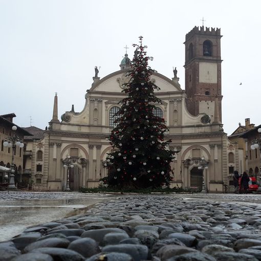 - (FOTOGALLERY) - Vigevano, nel pomeriggio l’installazione dell'albero di Natale in Piazza Ducale