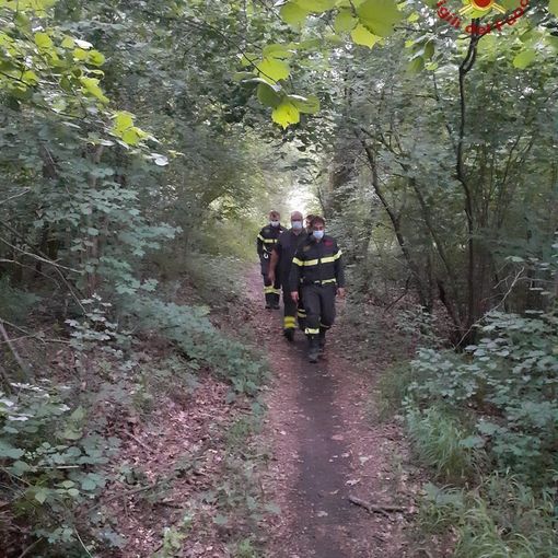 Gambolò: si perde in un bosco mentre cerca funghi, intervengono i Vigili del fuoco e lo ritrovano