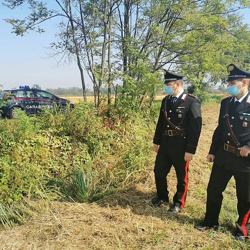 Pavese: sorpresi con la droga nelle campagne di Siziano, denunciati due uomini