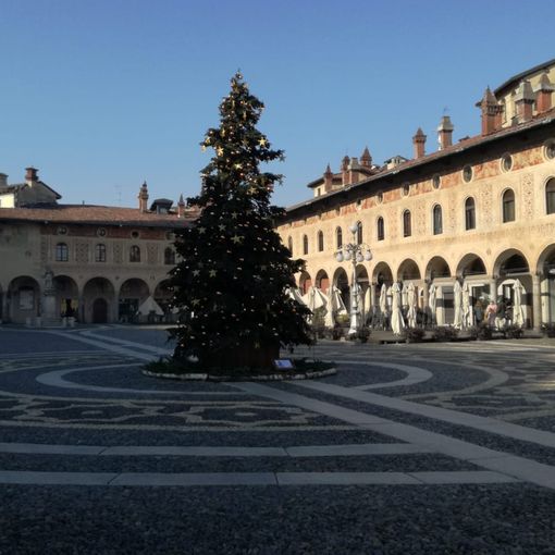- FOTONOTIZIA - Vigevano: in piazza Ducale è arrivato l'Albero di Natale