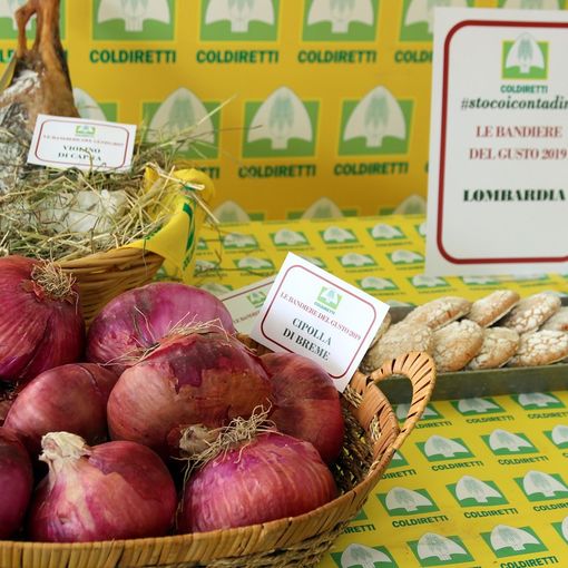 La Cipolla Rossa di Breme eletta fra le 5155 &quot;Bandiere del gusto&quot;