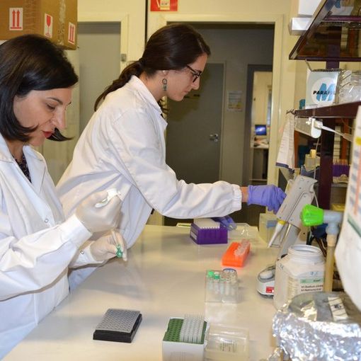 Università di Pavia: Il 16 febbraio parte l'iniziativa: &quot;Bioleaders, investire in cono-scienza