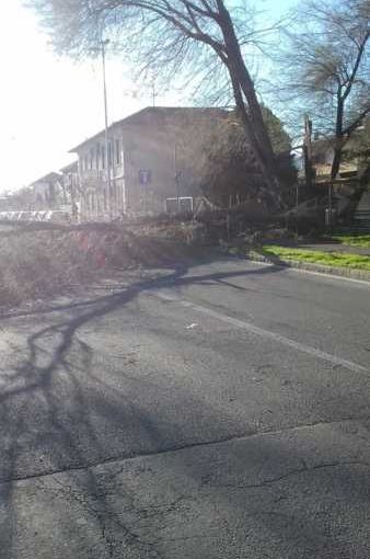 Magenta: tragedia sfiorata per il forte vento in via Novara