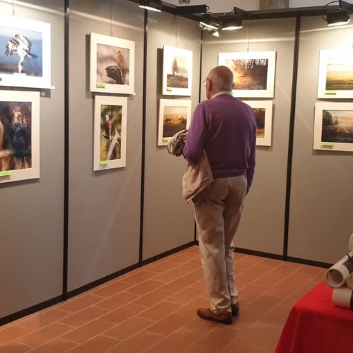 Il gruppo “Fotocineamatori” di Garlasco compie 50 anni dal 1969 un marchio di garanzia per la città