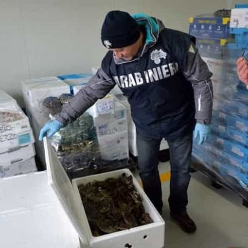 Vigevano: blitz dei Nas in un ristorante cinese sequestrati 850 kili di prodotti alimentari