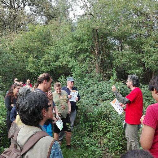 Garlasco, l’oasi del Bosco del Vignolo festeggia i 20 anni di attività