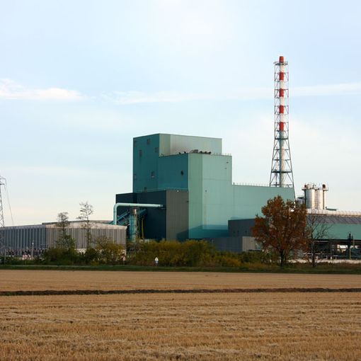Vigevano vende le quote del termo. L’opposizione: “Perdite milionarie”