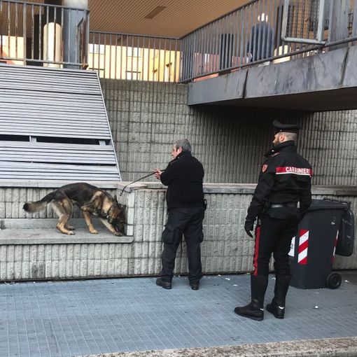 Pavia: denunciato un 18enne e segnalati altri otto giovani consumatori di stupefacenti, durante un controllo dei carabinieri in alcune scuole superiori cittadine