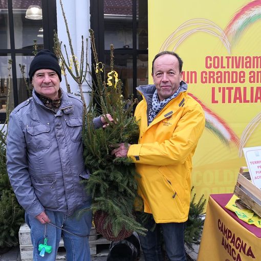 Natale: Coldiretti/Ixè, alberi veri in 3,5 mln di case, 42 euro spesa