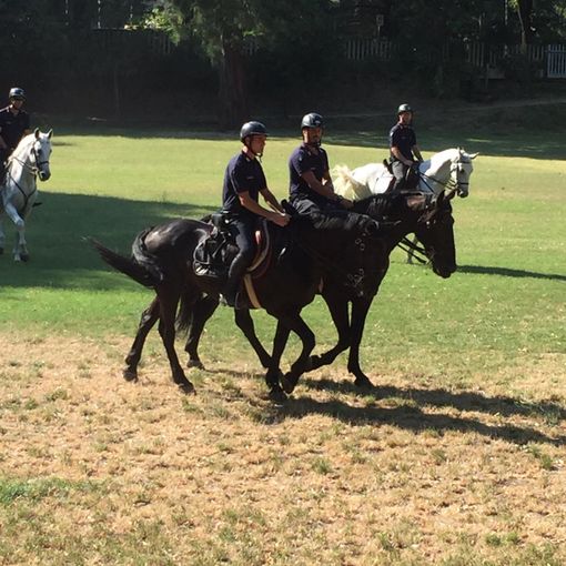 Oltrepo: controlli straordinari a Salice Terme effettuati dai Carabinieri a cavallo
