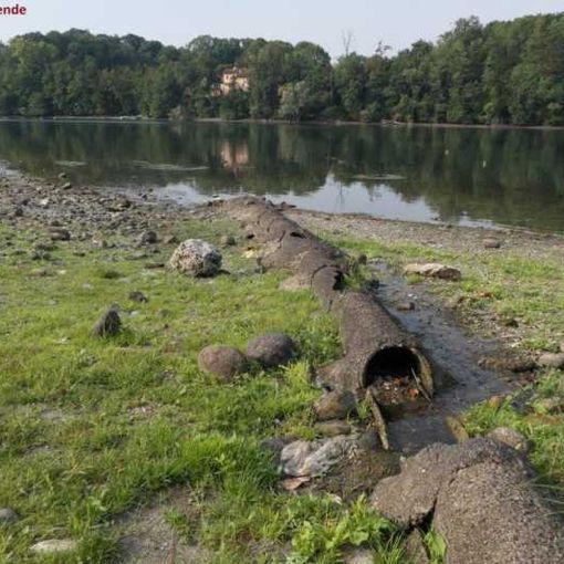 Siccità: i danni si potevano evitare! Il Parco del Ticino va all’attacco