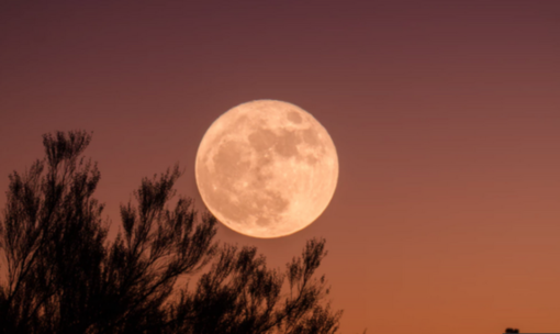 E' la sera della super luna: ecco come e quando ammirarla