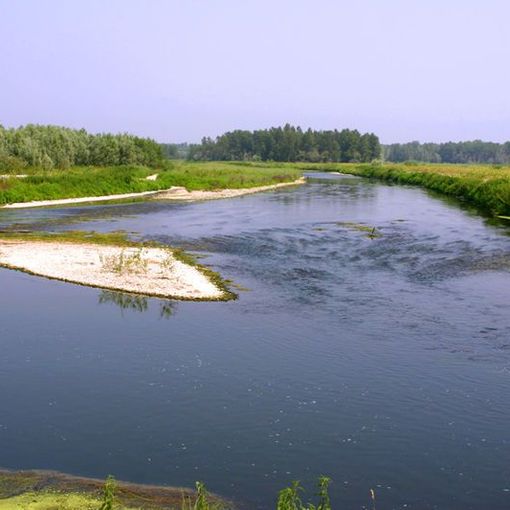 Parco del Ticino Vigevano: Entro fine mese saranno demoliti i pergolati sul fiume