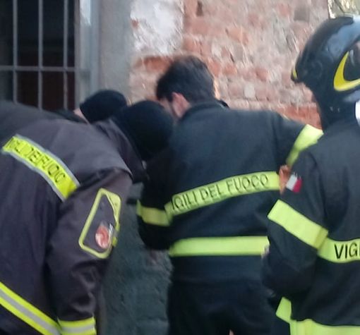Novi Ligure: incastrato tra le sbarre al Castello, gatto salvato da vigili del fuoco e volontari