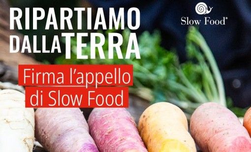 L'appello di Slow Food che tutti possiamo firmare: &quot;Ripartiamo dalla terra&quot; per salvare agricoltura e ristorazione