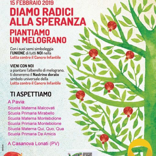 15 febbraio 2019 - XVIII Giornata Mondiale contro il Cancro Infantile: Melograni in città per dare radici alla speranza di guarigione