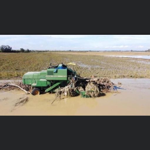 Danni da maltempo, Cia Pavia: occorre coinvolgere agricoltori in piani di manutenzione